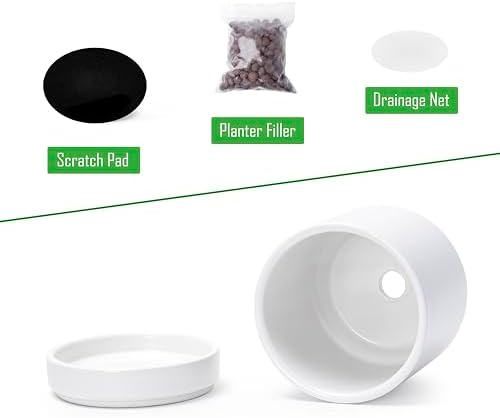 D'vine Dev 4.7 Inch Ceramic Planter Pot, White, 94-O-B-1 - Image 4
