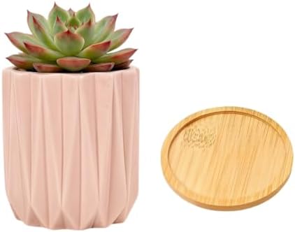 Cuteforyou Modern Textured Ceramic Succulent Planter Pot – 6 Color Options (No Plant Included) – Perfect for Small Plants, Cacti & Desk Decor – Lightweight & Durable (Pink, 3.5'' Tall) by Cuteforyou