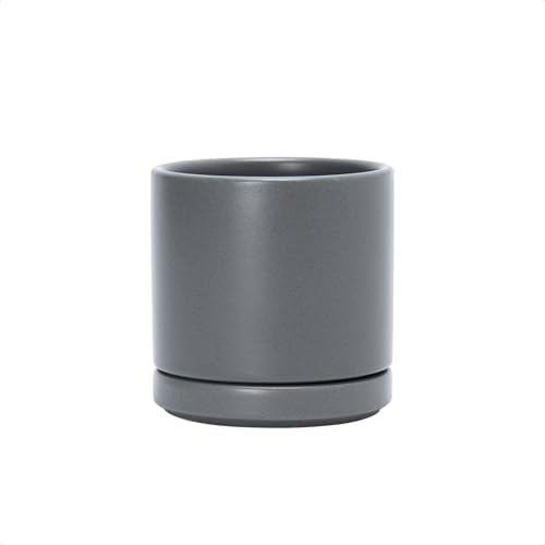 D'vine Dev 3.5 Inch Ceramic Planter Pot, Grey, 94-O-A-3 by DvineDevPlanterPotsandStand