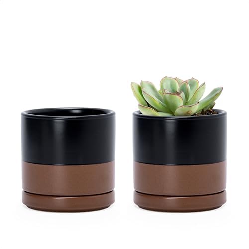 D'vine Dev 2-Pack Ceramic Pots with Saucers, Black/Tan, 3.5 in, 94-V-A-7 by DvineDevPlanterPotsandStand