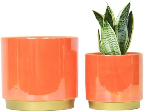 Gepege Peach Indoor Plant Pots for Plants, Ceramic Planter with Drainage Hole, 7.6 Inch +6 Inch 2pcs Succulent Orchid Flower Pot - Rainbow Pearl Glaze by Gepege
