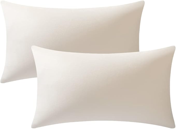 Couch Pillow Covers 12x20 Cream: 2 Pack Cozy Soft Polyester Velvet Rectangular Throw Pillow Cases for Farmhouse Home Decor