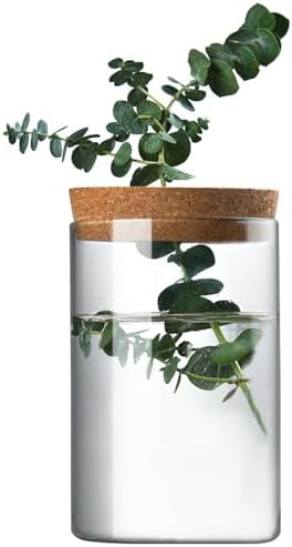 Clear Glass Planter Vase with Wooden Lid and Bamboo Stand for Hydroponic Plants, Succulents, Cut Flowers Gifts for Women Mom Plant Lovers (1, 2.55 * 3.93inch) by FEOOWV
