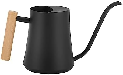 Black Watering Can for Indoor Plants, 1L/35oz Stainless Steel by EPalace