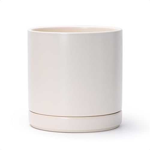 D'vine Dev 8.2 Inch Ceramic Planter Pot, Oatmeal, 94-O-D-8 by DvineDevPlanterPotsandStand