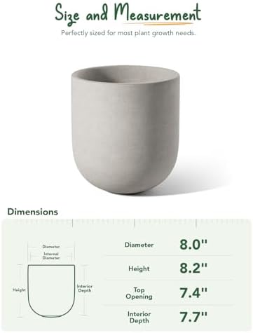 LE TAUCI 8 Inch Plant Pot, Ceramic Pot with Drainage Hole & Rubber Plug, Indoor Planter for Herbs & Small Houseplants, Cylinder Planter for Home Office, Neutral Gray - Image 3
