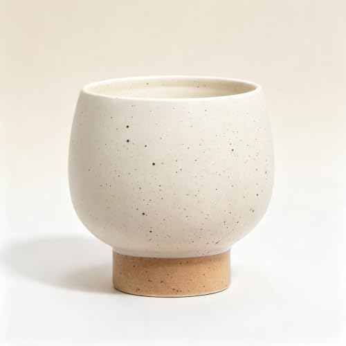 5.5" Cream Speckle Ceramic Indoor Planter with Tan Base, Small Outdoor Pots by Unknown