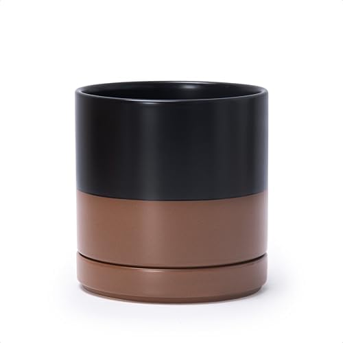D'vine Dev 6.5 Inch Ceramic Planter Pot, Black/Tan, 94-O-C-7 by DvineDevPlanterPotsandStand