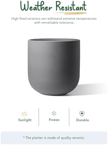 LE TAUCI 10 Inch Plant Pot, Ceramic Pots for Plants with Drainage Hole and Rubber Plug, Plant Pots Indoor for Home Garden Patio Office, Cylinder Planters for Indoor Plants, Charcoal Gray - Image 6