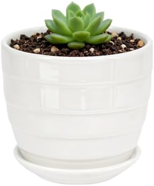 Cute 4.13 Inch Ceramic Home Garden Decoration Succulent Cactus Flower Pots Container -Plant Not Included，White - Image 5