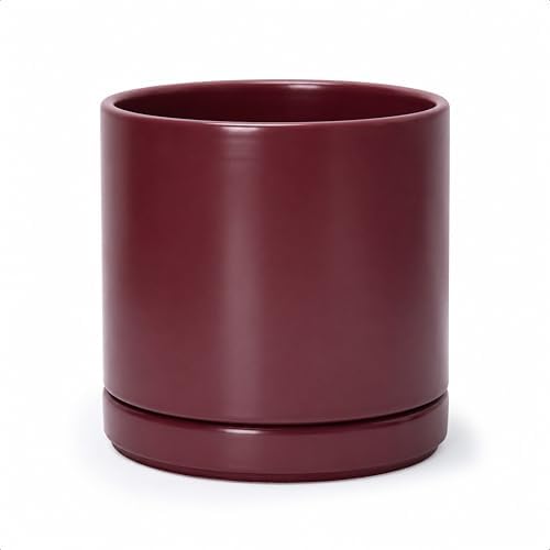 D'vine Dev 8 Inch Ceramic Planter Pot, Cordovan, 94-O-D-4 by DvineDevPlanterPotsandStand