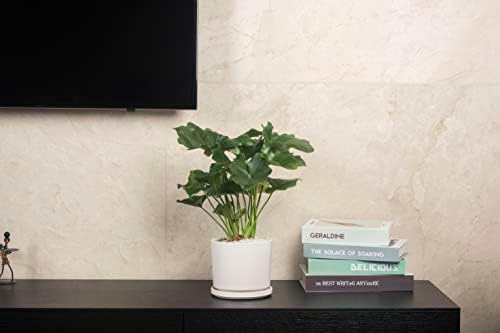 Ekirlin 7 inch Plant Pots,Ceramic Flower Planters Indoor,Modern Succulents Containers with Drain Hole Saucer,Decorate Home,Office & Outdoor (White) - Image 6