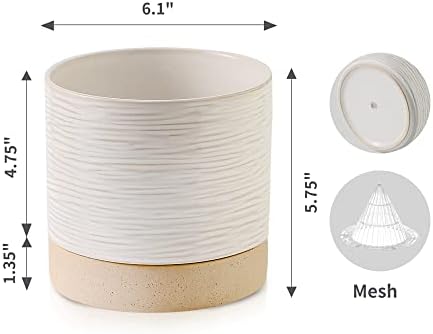 Nihow Ceramic Plant Pot,6 Inch Planter with Drainage Hole&Saucer for Indoor - Image 2