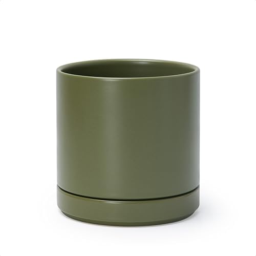 D'vine Dev 6.5 Inch Ceramic Planter Pot, Olive, 94-O-C-J by DvineDevPlanterPotsandStand