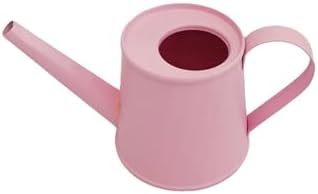8.4 oz/250 ml Plant Watering Can, Modern Stylish Decorative Indoor Watering Cans for House Plants with Long Spout,Durable Rustproof Small Water Can for Plants for Outdoor Bonsai Garden Succulents by Unknown