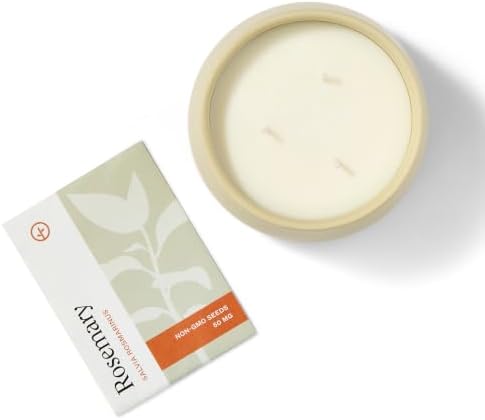 Modern Sprout Soy Candle Planter - Winter Forest - Image 2