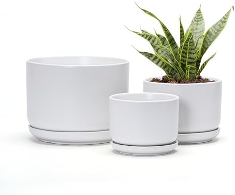 White Plant Pots,Ceramic Flower Pots Set of 3 with Drainage Holes(Matte) by TonSin