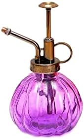 Glass Plant Mister Watering Can Spray Bottles with Top Pump, 6.4" Tall Vintage Fine Mist Succulent Plant Spritzer, Small Decorative Watering Can Gift for Indoor Outdoor Garden House Plant (Purple) by Unknown