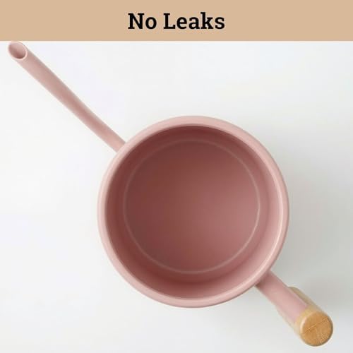 Metal Small Indoor Watering Can with Long Spout & Real Wood Handle, 35oz - Image 5