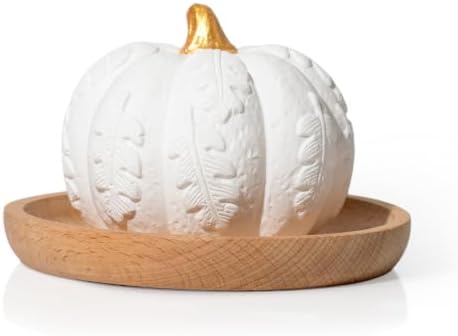 Plant Therapy Pumpkin Passive Fall Diffuser for Essential Oils by PlantTherapy