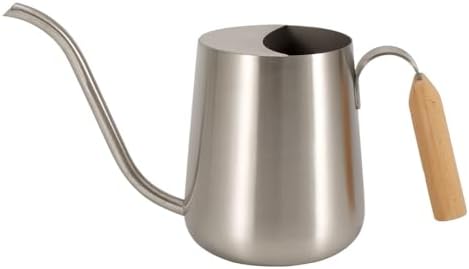 30oz Watering Can for Indoor Plants, Stainless Steel Long Spout by EPalace