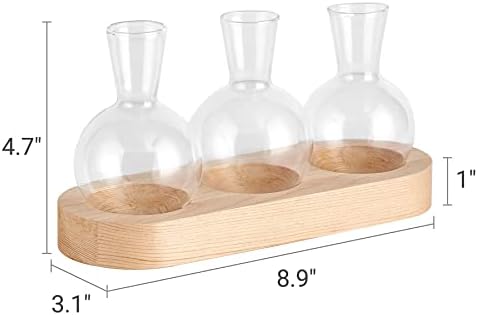 Mkono Plant Propagation Station, Desktop Glass 3 Bulb Vase Beige Wood Tray - Image 5