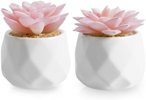 VIVERIE Mini Succulents Plants Artificial in Pots-Pink, Christmas Small Fake Succulents Plants for Home Decor Indoor for Women, White Ceramic Faux Succulents, Set of 2, Gifts for Mom by VIVERIE