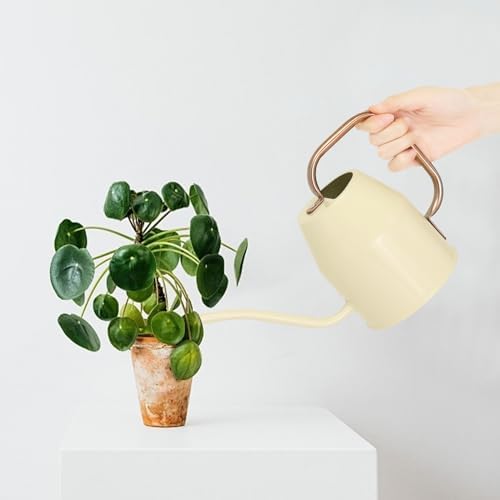 Metal Watering Can with Removable Spout, Galvanized Watering Can, Perfect Plant Watering Can for Indoor Use and for Outdoor Use (0.5 Gallaon, White), W2315PC - Image 6