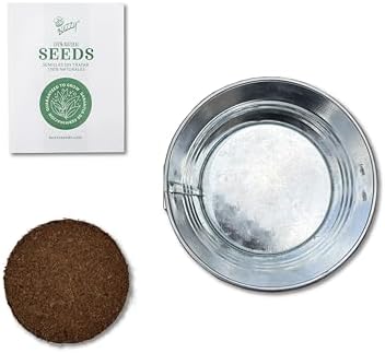 Buzzy Seeds Spruce Christmas Tree Grow Kit, Galvanized Basin Planter - Image 4
