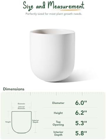 LE TAUCI 6 Inch Plant Pot, Ceramic Planter for Herbs & Small Houseplants, Tabletop Indoor Pot for Shelf, Desk and Windowsill, Small Planter with Drainage Hole & Rubber Plug, White - Image 5