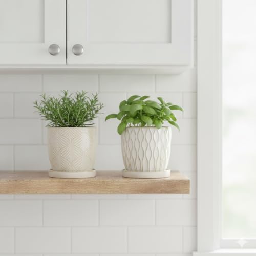 Nihow Ceramic Plant Pots - 4.75 Inch Planters for Indoor Plants,Embossed Flower Pots with Drainage Hole & Saucer,Small Pots for Succulent,Cactus,Little Snake,Set of 2,White -2 - Image 6