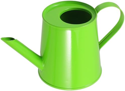 GANAZONO Mini Metal Watering can 5.70X2.75X2.36In Indoor Outdoor Garden Watering Pot Lightweight Iron Kettle for Home Desktop Decor by GANAZONOEnjoyYourLife