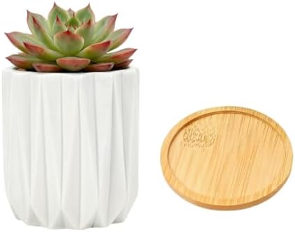Cuteforyou Modern Textured Ceramic Succulent Planter Pot – 6 Color Options (No Plant Included) – Perfect for Small Plants, Cacti & Desk Decor – Lightweight & Durable (White, 3.5'' Tall) by Cuteforyou