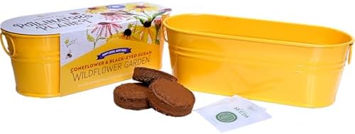 Buzzy Seeds Coneflower & Black-Eyed Susan Grow Kit, Metal Planter - Image 4
