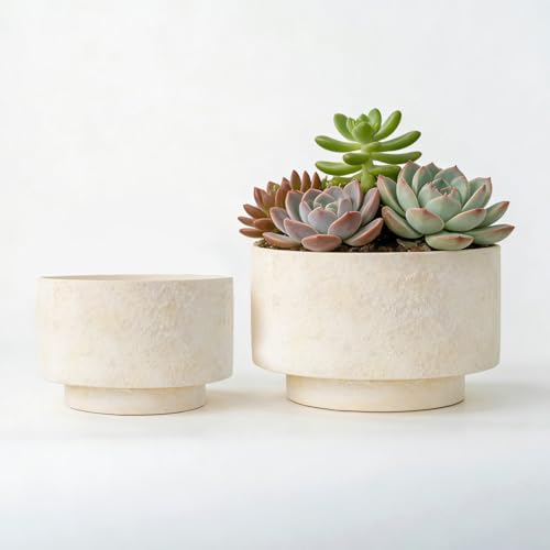 Succulent Pots, 8"+6" Plant Pots, Ceramic Planters for Indoor Plants by YBXYIBOXUAN