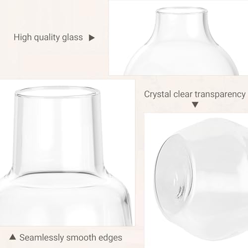 Mkono Propagation Vases 5 Glass Jars Station for Hydroponic Plants, Clear - Image 4