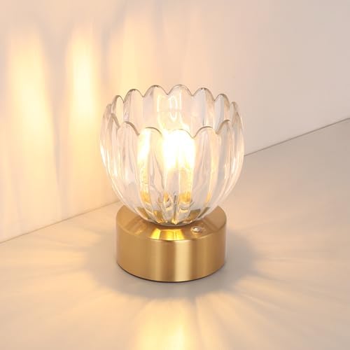 Shenmoyl Cordless Small Table Lamp with 5200mAh Battery & Touch Control, Battery Operated Tulip Table Lamp with 3 Colors, Rechargeable Mini Table Lamps for Bedsides, Bedroom, Nightstand (Transparent) by Shenmoyl