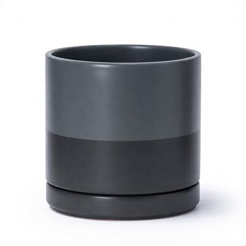D'vine Dev 8 Inch Ceramic Planter Pot, Slate, 94-O-D-5 by DvineDevPlanterPotsandStand