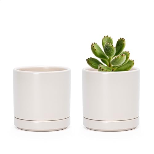 D'vine Dev 2-Pack Ceramic Pots with Saucers, Oatmeal, 3.5 in, 94-V-A-8 by DvineDevPlanterPotsandStand