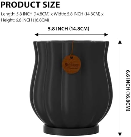 5.8" Matte Black Ceramic Plant Pot with Saucer - Image 2