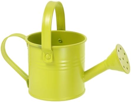 Mini Watering Can for Plants Indoor Outdoor, Decorative Metal Flower Watering Pail with Handle, Long Spout Small Spray Pot for Succulent Gardening by Anneome