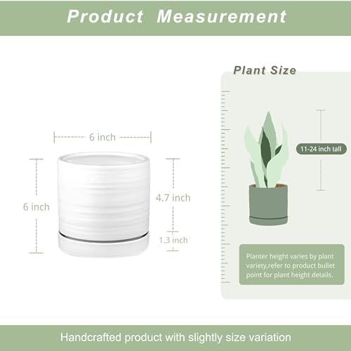 HERDUK 6 Inch Plant Pots, Ceramic Planter Pot with Drainage Hole & Saucer, Indoor/Outdoor Cylinder Round Planter Pot, Matte White - Image 3