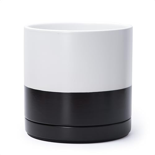 D'vine Dev 10 Inch Ceramic Planter Pot, Black White Two Tone, 94-O-E-L by DvineDevPlanterPotsandStand