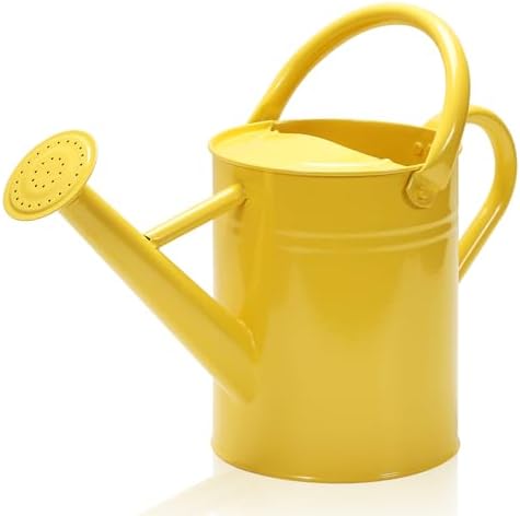 Metal Watering Can with Removable Spout, Galvanized, Perfect for Indoor and Outdoor Use (1 Gallon, Yellow) by Ausluru