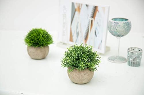 Velener 2Pcs Mini Artificial Boxwood Topiary Faux Plants Indoor- Small Fake Plants Decor Magnolia Home Office Desk Cubicle Farmhouse Kitchen Bookshelf Bedroom Bathroom Decor, Aloe Vera Zen Garden - Image 5