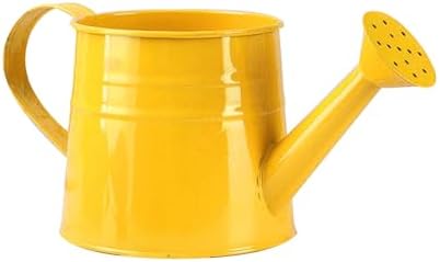 Galvanized Iron Watering Can, Tinplate Watering Kettle Small Flower Pot Plant Flower Pot, Durable Metal Flower Pot, Ideal for Gardening and Home Decor (C) - Image 2
