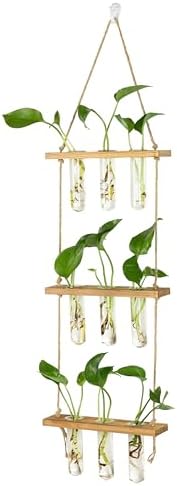 Hyindoor Wall Hanging Propagation Stations 3 Tired Wall Planter Terrarium with Wooden Stand and Glass Test Tubes Plant Hanger Flower Vase for Home Office Wall Decor Hydroponic Cuttings - Image 2