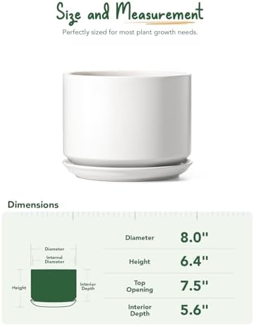LE TAUCI Ceramic Pots for Plants, 8 Inch Plant Pot with Drainage Hole & Saucer, Modern Minimalist Planters for Indoor Plants, Round Flower Pot for Snake Plant, Monstera, Perfect for Home Decor, White - Image 3