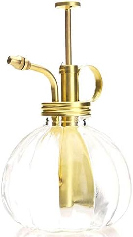 Vintage Style Glass Pumpkin Bottle Sprayer Watering Can Plant Mister with Brass Sprayer Head (Transparent) by Layboo