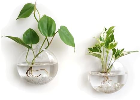 Mkono Wall Propagation Planters, 2 Pack Oblate Hanging Plant Holder Vase by Mkono